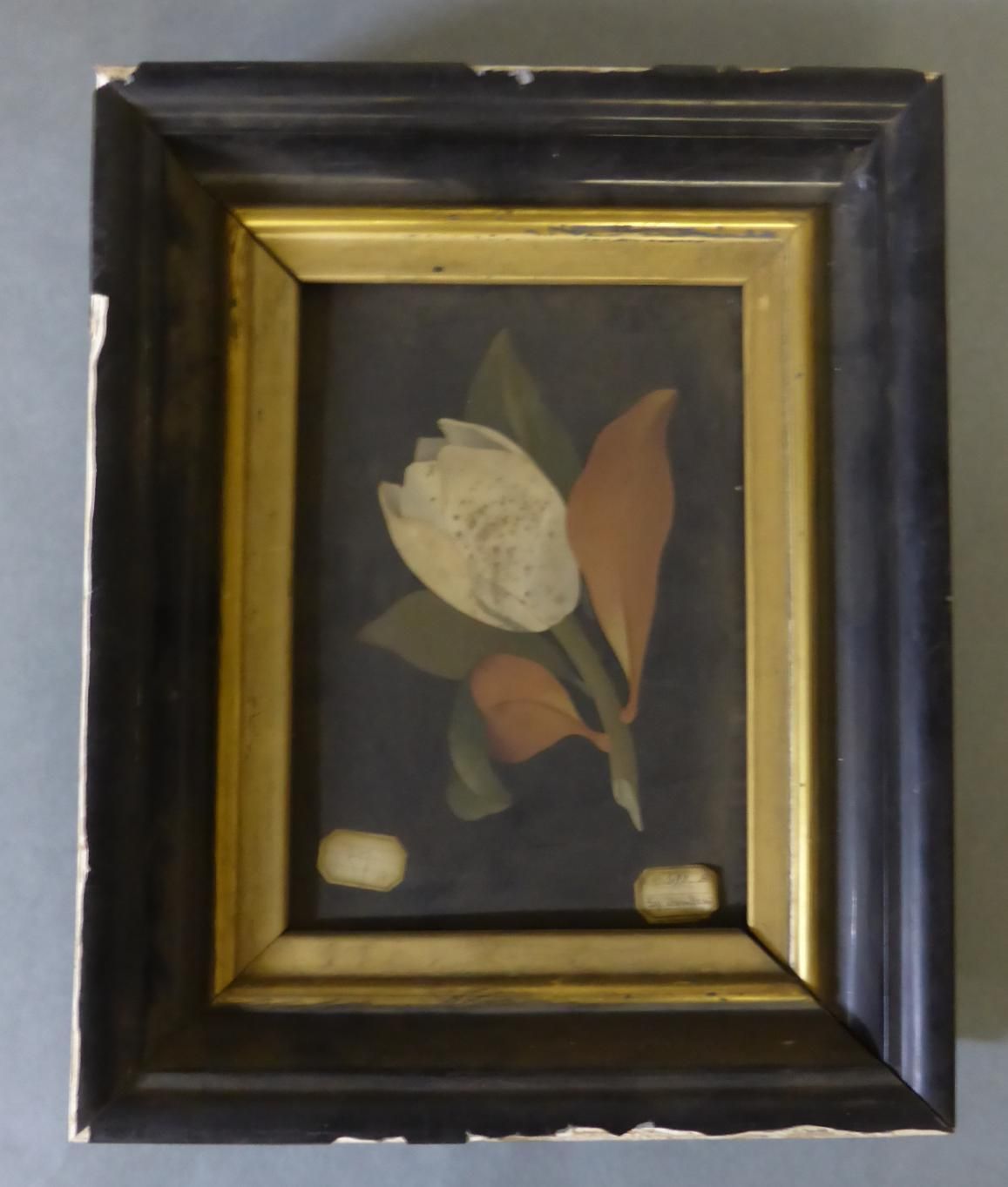 Image representing Une tulipe - Mosaïque.
