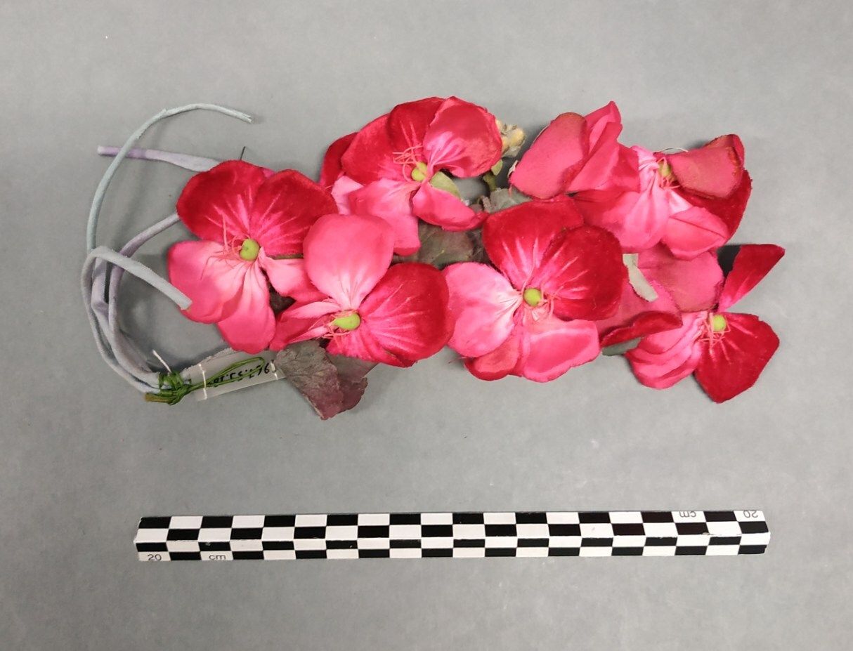 Image représentant Bouquet
