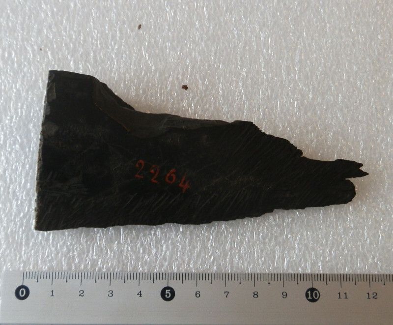 Image représentant Fragment