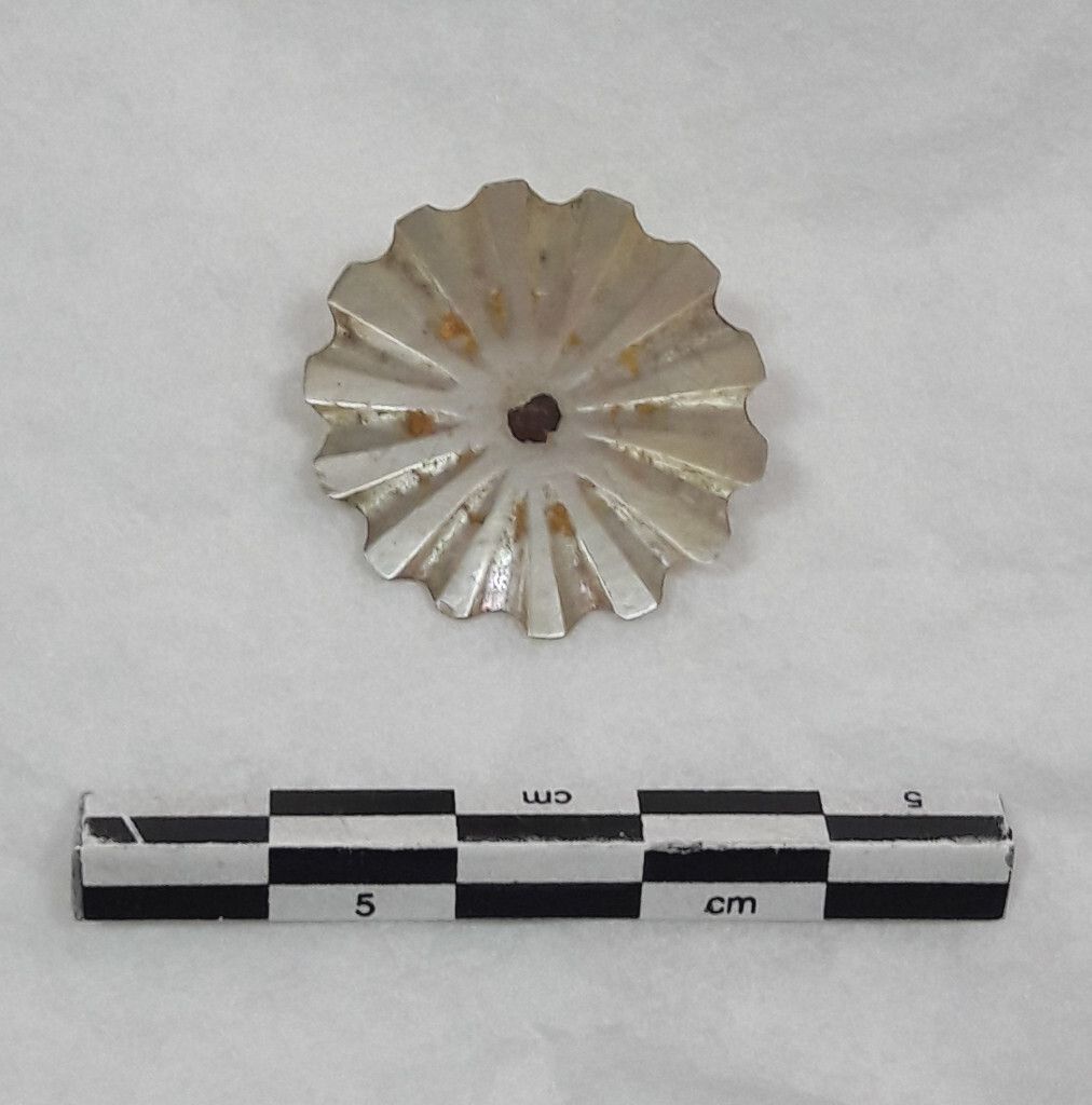 Image représentant Bouton