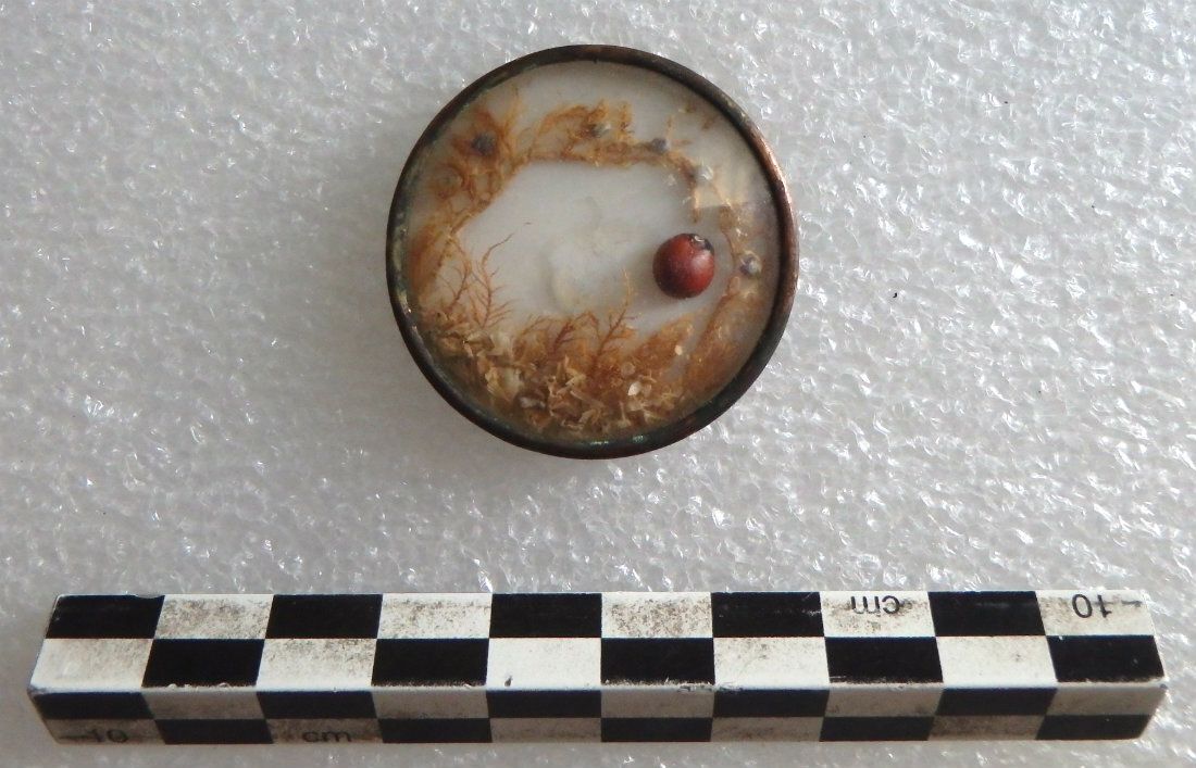 Image représentant Bouton