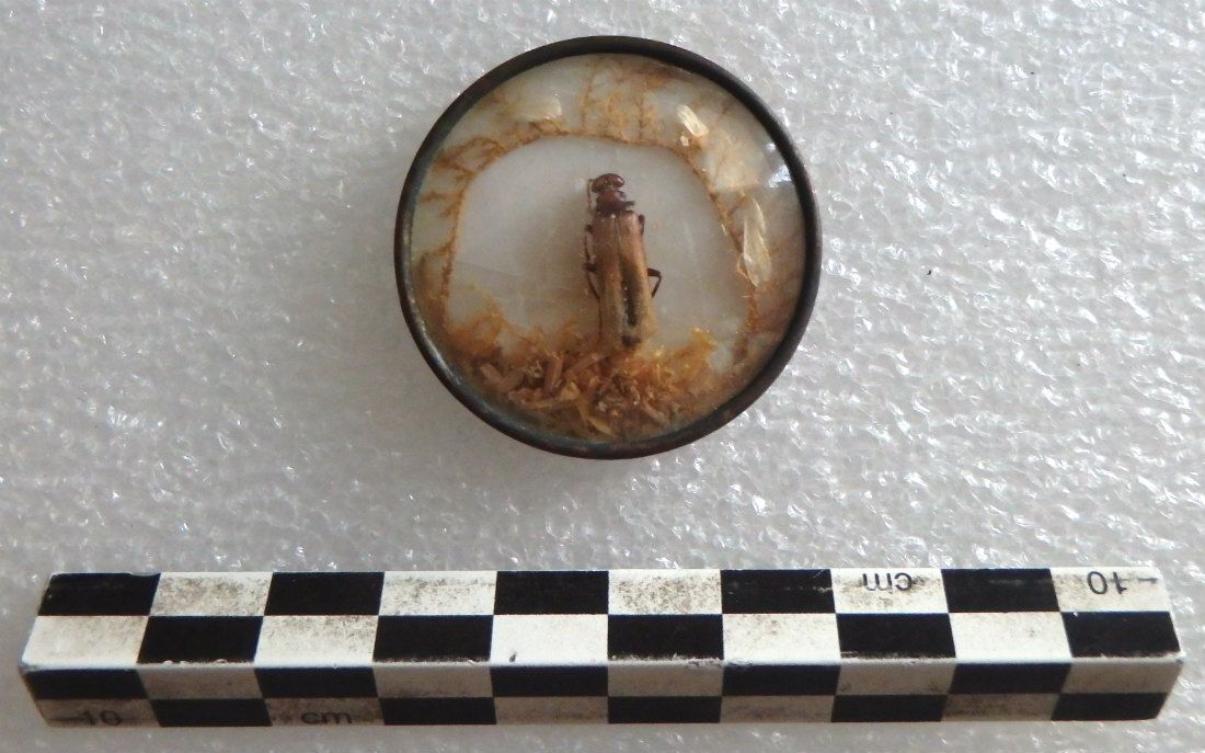 Image représentant Bouton