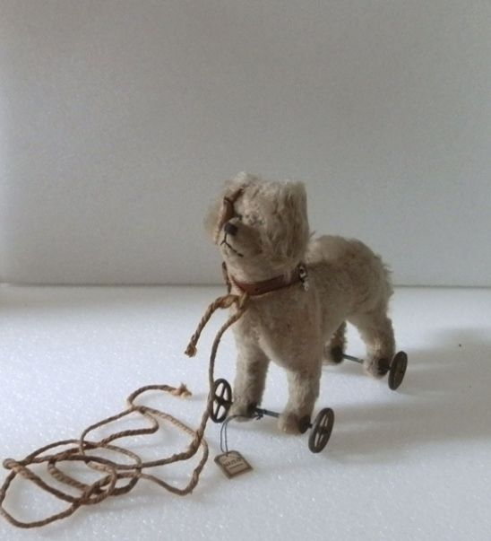 Image représentant Chien