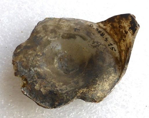 Image représentant Fragment