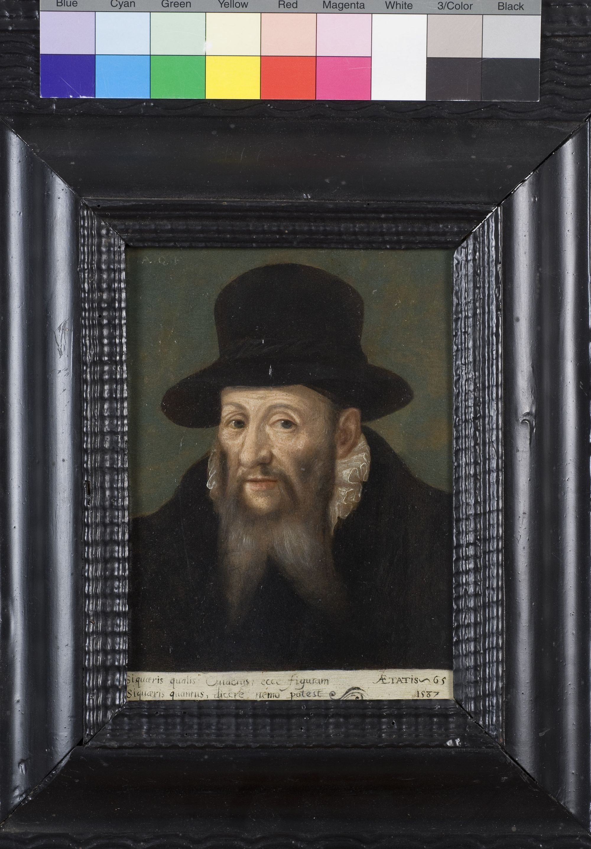 Image representing Portrait de Jacques Cujas (1522-1590), jurisconsulte et humaniste - Tableau.