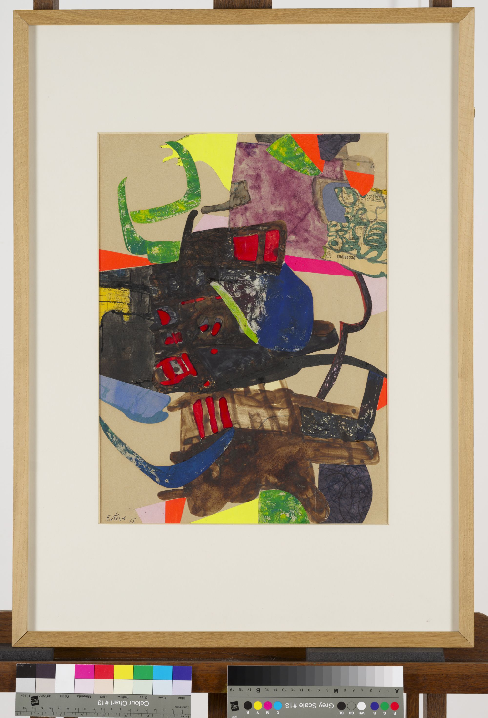 Image représentant C.115 Trocquart corné - Collage