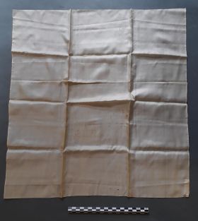 Image représentant Mouchoir