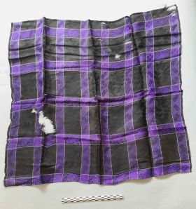Image représentant Foulard