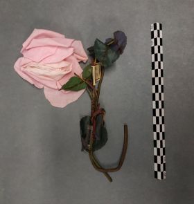 Image représentant Bouquet