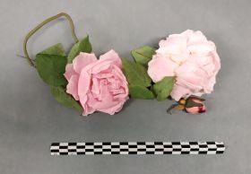 Image représentant Bouquet