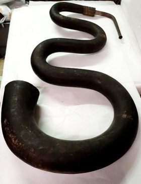 Image représentant Serpent