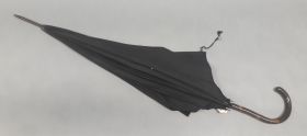 Image représentant Parapluie