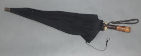 Image représentant Parapluie
