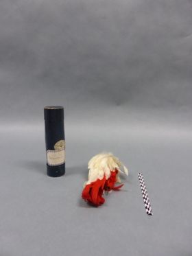 Image représentant Plume