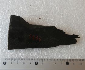 Image représentant Fragment