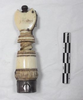 Image représentant Taille-plume