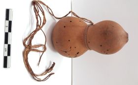 Image représentant Gourde