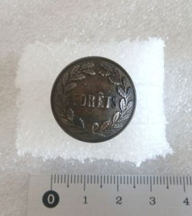 Image représentant Bouton