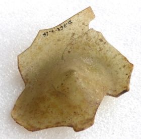 Image représentant Fragment