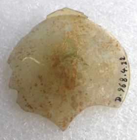 Image représentant Fragment