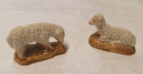 Image représentant Mouton