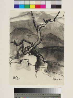 Image représentant D.568 Olivier à Vence -